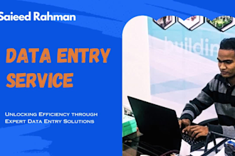 do data entry copy paste and conversion