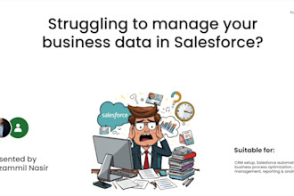 automate and customize salesforce CRM with flow, apex and API integration