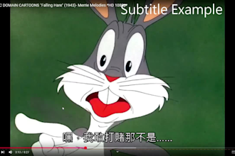 add ai subtitles with human proofreading