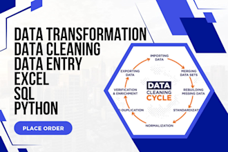 do data cleaning, data transformation, data entry using excel sql python
