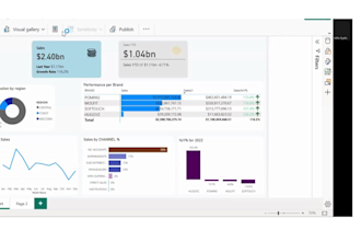 design interactive dashboards and visuals that tell a story