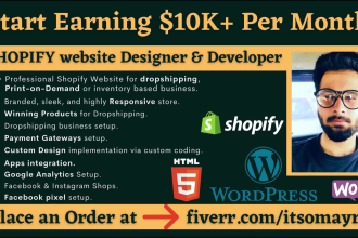 make professional e commerce website on shopify for dropshipping