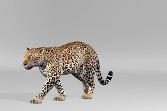 3d animal model, character model sculpting rigging with animal fur in blender