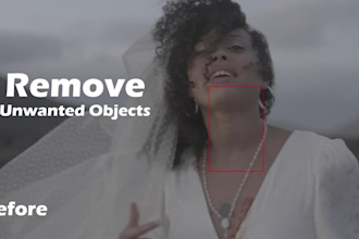 professional object removal, vfx cleanup