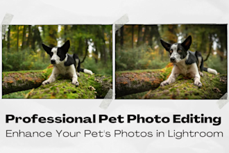 create perfect pet photos with professional editing