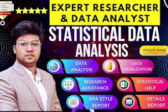do statistical data analysis using excel, spss, amos, powerbi and research