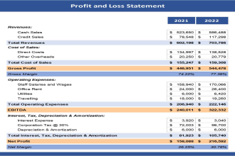 prepare profit and loss and financial statements for you