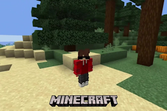 do professional minecraft video editing