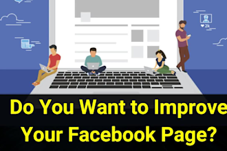 provide professional facebook page management service