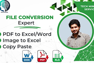 do file conversion, PDF to excel or word, copy paste