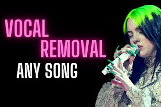 remove vocals from your song, perfect for karaoke