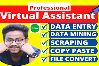 virtual assistant for wordpress data entry, product listing, blog post