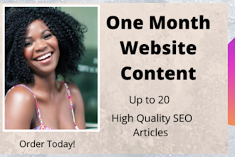write onemonth seo website content for you