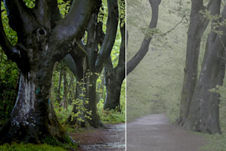 grade your raw video into cinematic film