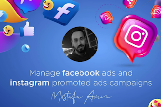 setup and manage facebook ads campaign, instagram ads, fb, meta ad marketing