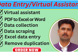 do excel data cleaning, data collection, removing duplicates, web research