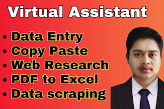 excel data cleaning, data organize, data scraping, typing and data mining
