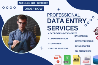 data entry, copy paste, excel data entry, convert PDF, web research