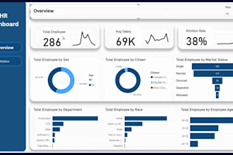 build data analytics dashboards in power bi and excel for HR and business
