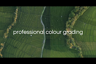 do professional color grading and color correction