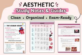 create neat, aesthetic and well formatted study notes