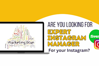 be your instagram manager and virtual assistant