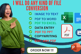 do data entry, excel, word, data editing and file conversion for real estate