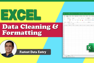 do ms excel data cleaning and fastest data entry