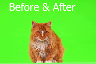 remove  green screen and add realistic background