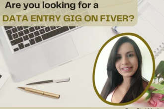 do accurate and fast any type of data entry work