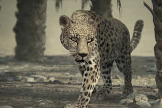 make realistic 3d animal model, cgi animal compositing, 3d animal animation