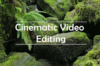 cinematically edit short travel tapes for you