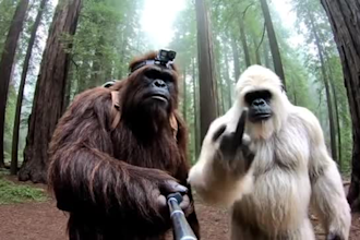make a funny ai yeti vlog about his daily life and random thoughts