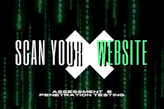 do pentesting and vulnerability assessment on web application and api