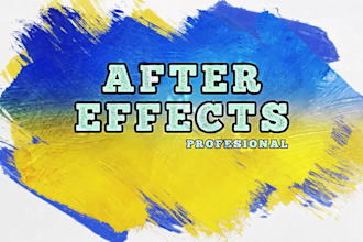 make a custom animation in after effects or edit a template