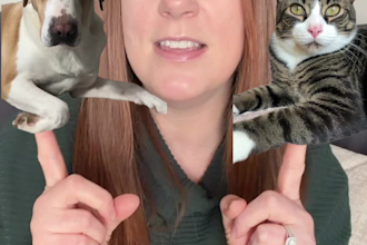 create pet ugc with my dog or cat
