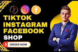 set up tiktok, instagram, facebook shops with high converting ads in 48 hours