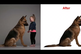 give image manipulation services