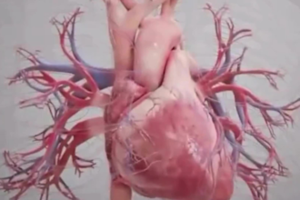 do realistic 3d medical animation video, medical explainer video, body anatomy