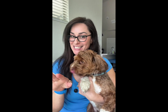 create dog ugc videos for your dog products or services
