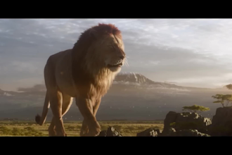 design realistic 3d animal model, 3d printing, animal rigging animal integration