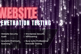 perform expert web application penetration testing