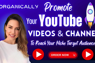 do organic youtube video promotion for niche target channel growth