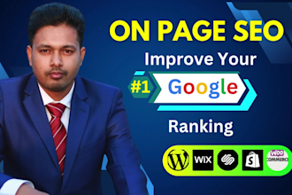 do perfect on page SEO optimization for wordpress, wix, squarespace