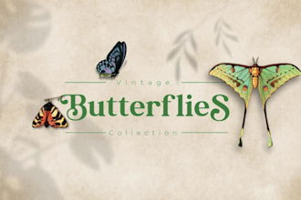 create botanical vintage butterfly collection