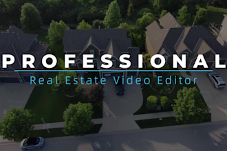 do professional real estate video editing in low budget