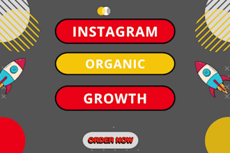 do your super fast organic instagram growth