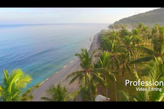 do professional video editing and post production