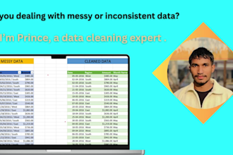 do data cleaning and data cleanup in excel