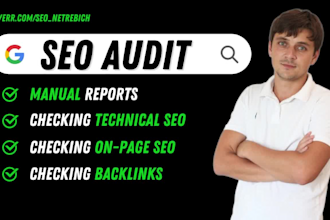 do a SEO audit of the website and make an action plan